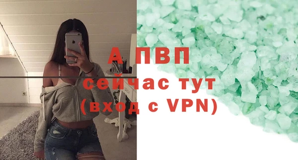 ешки Белокуриха