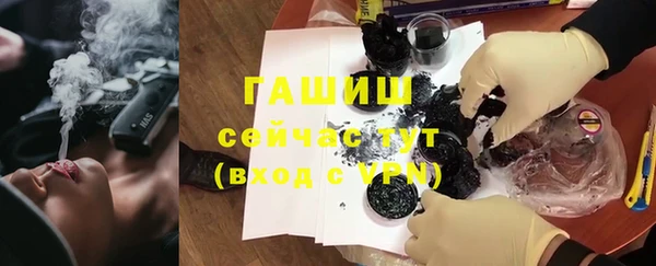 ешки Белокуриха