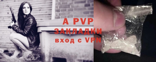 ешки Белокуриха