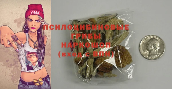ешки Белокуриха