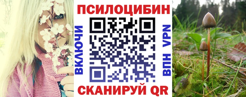 Псилоцибиновые грибы Magic Shrooms  Яхрома 